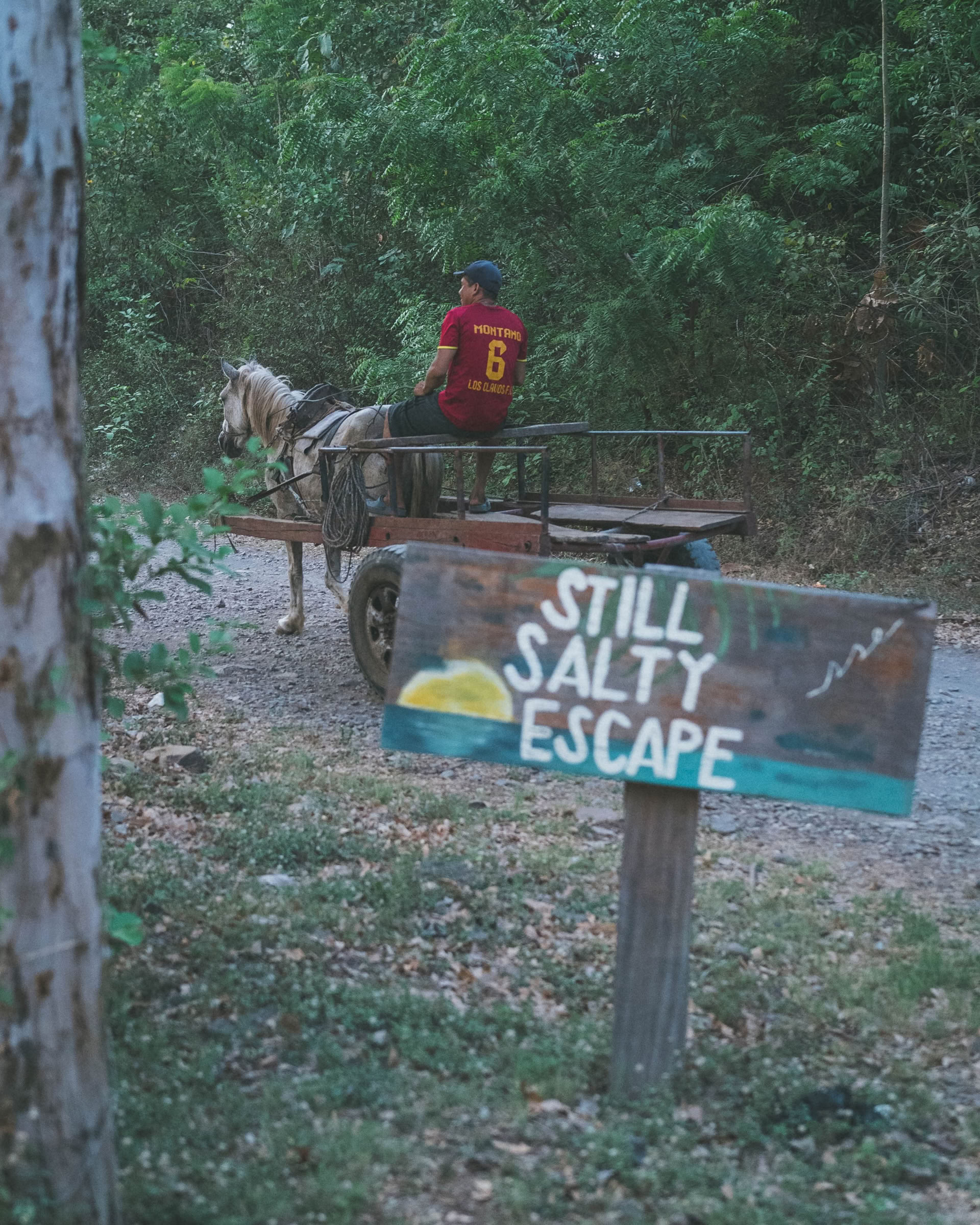 Wild Nicaragua Yoga Retreat