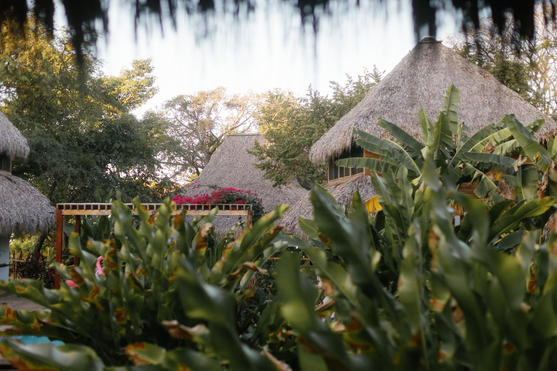 Wild Nicaragua Yoga Retreat