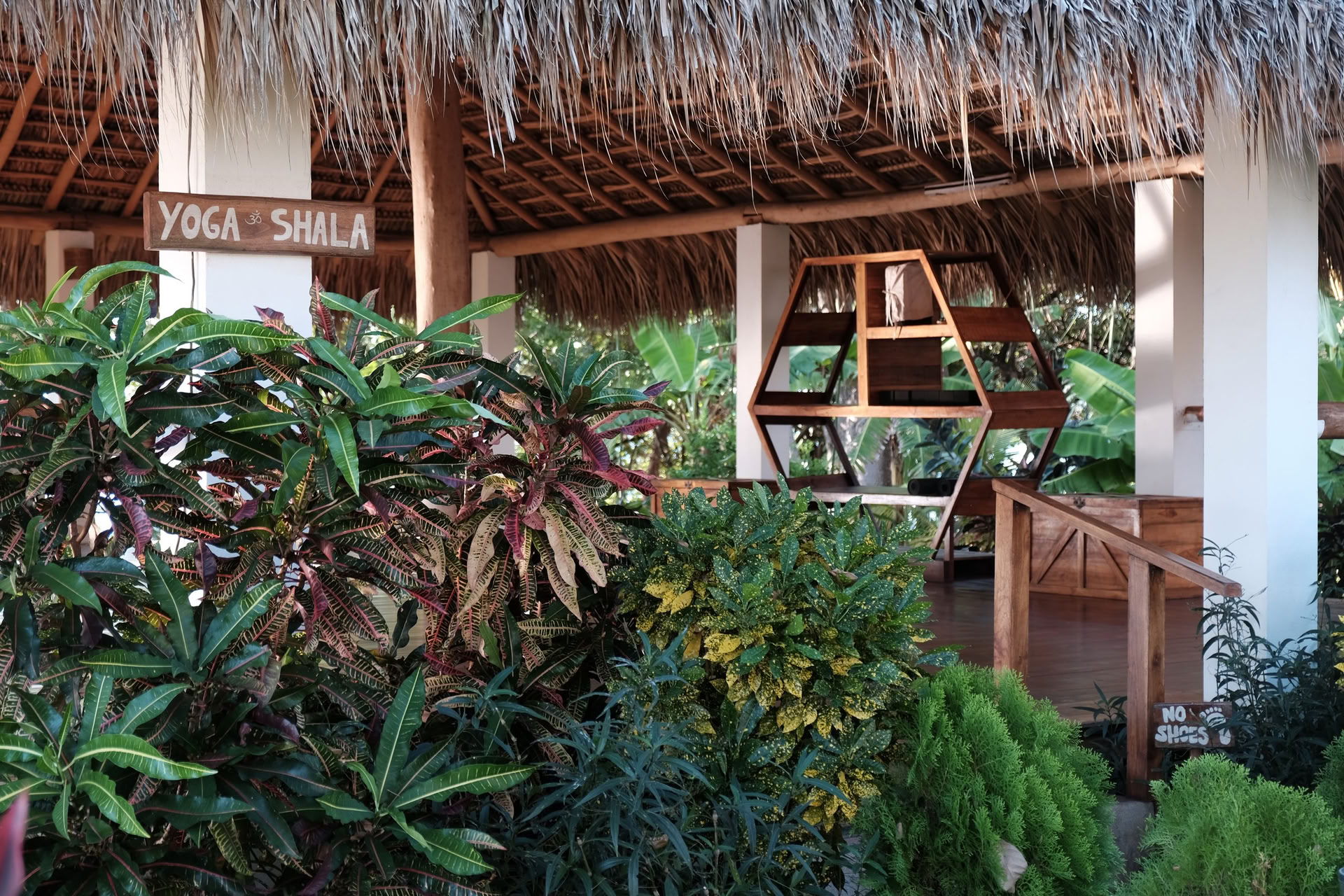 Wild Nicaragua Yoga Retreat