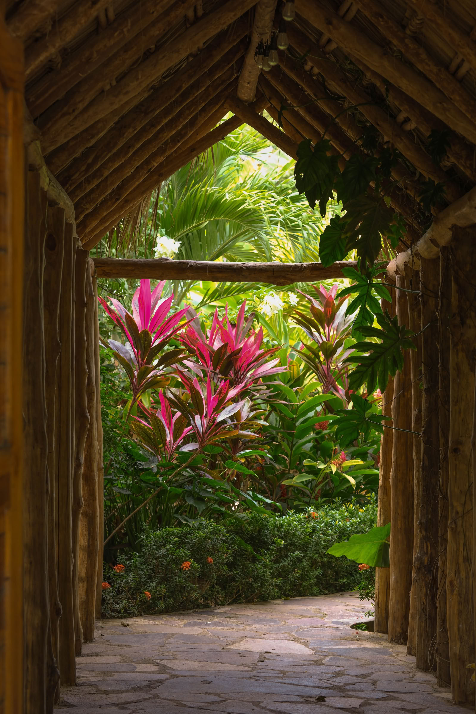 Wild Nicaragua Yoga Retreat