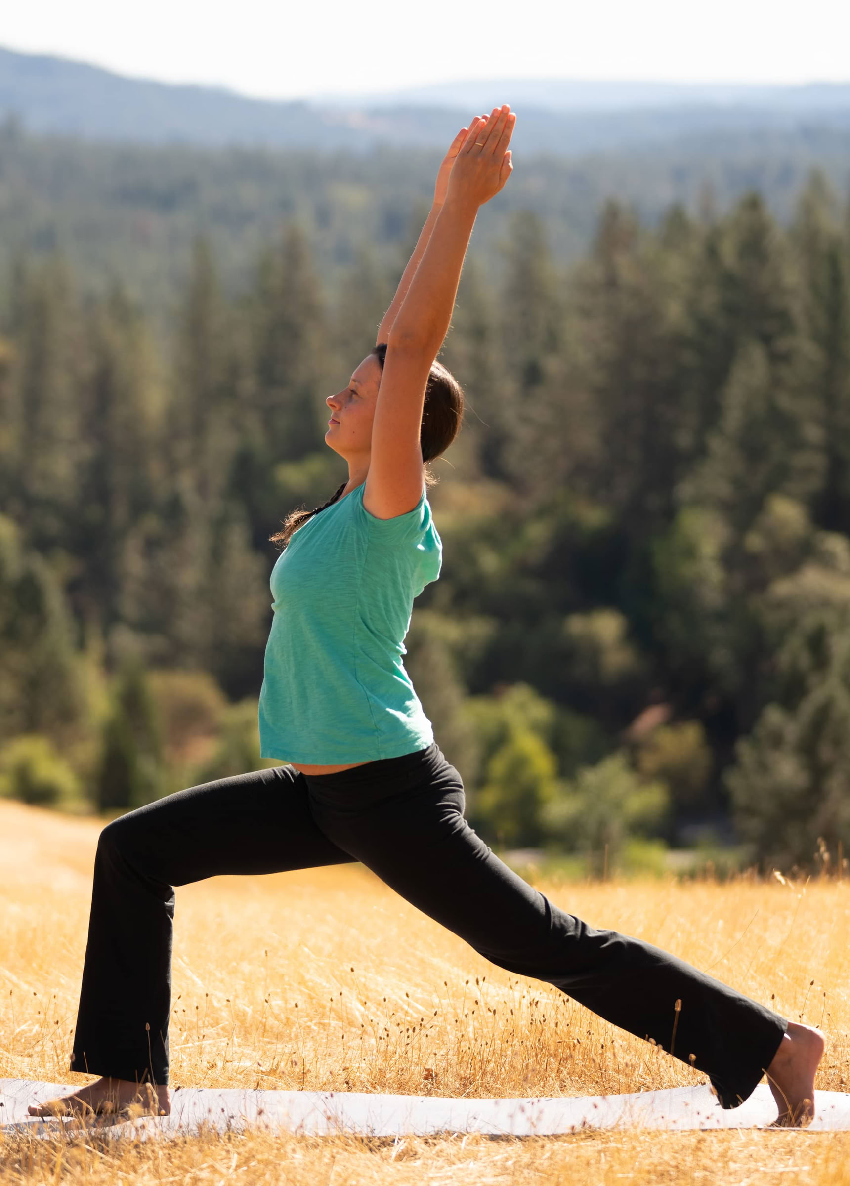 Fundamentos de Ananda Yoga
