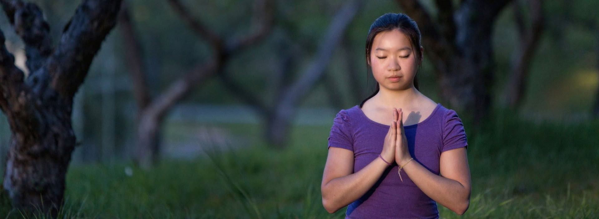 Bridge to Ananda Yoga