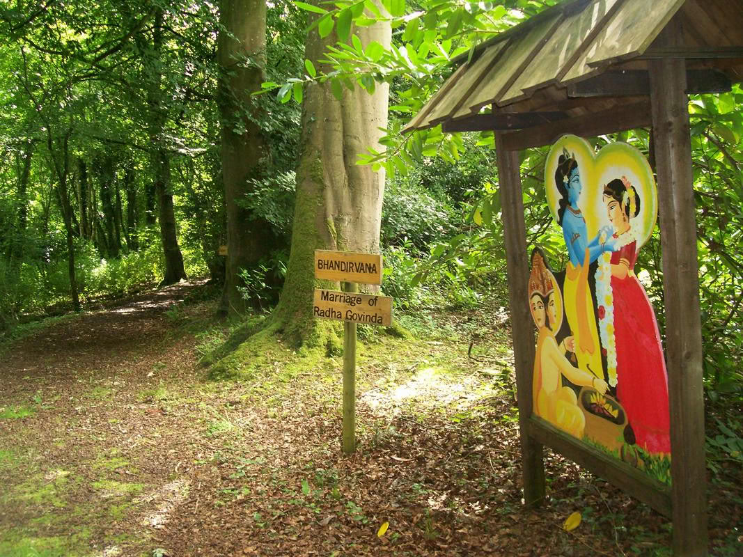 Retiro de Rejuvenecimiento Festivo