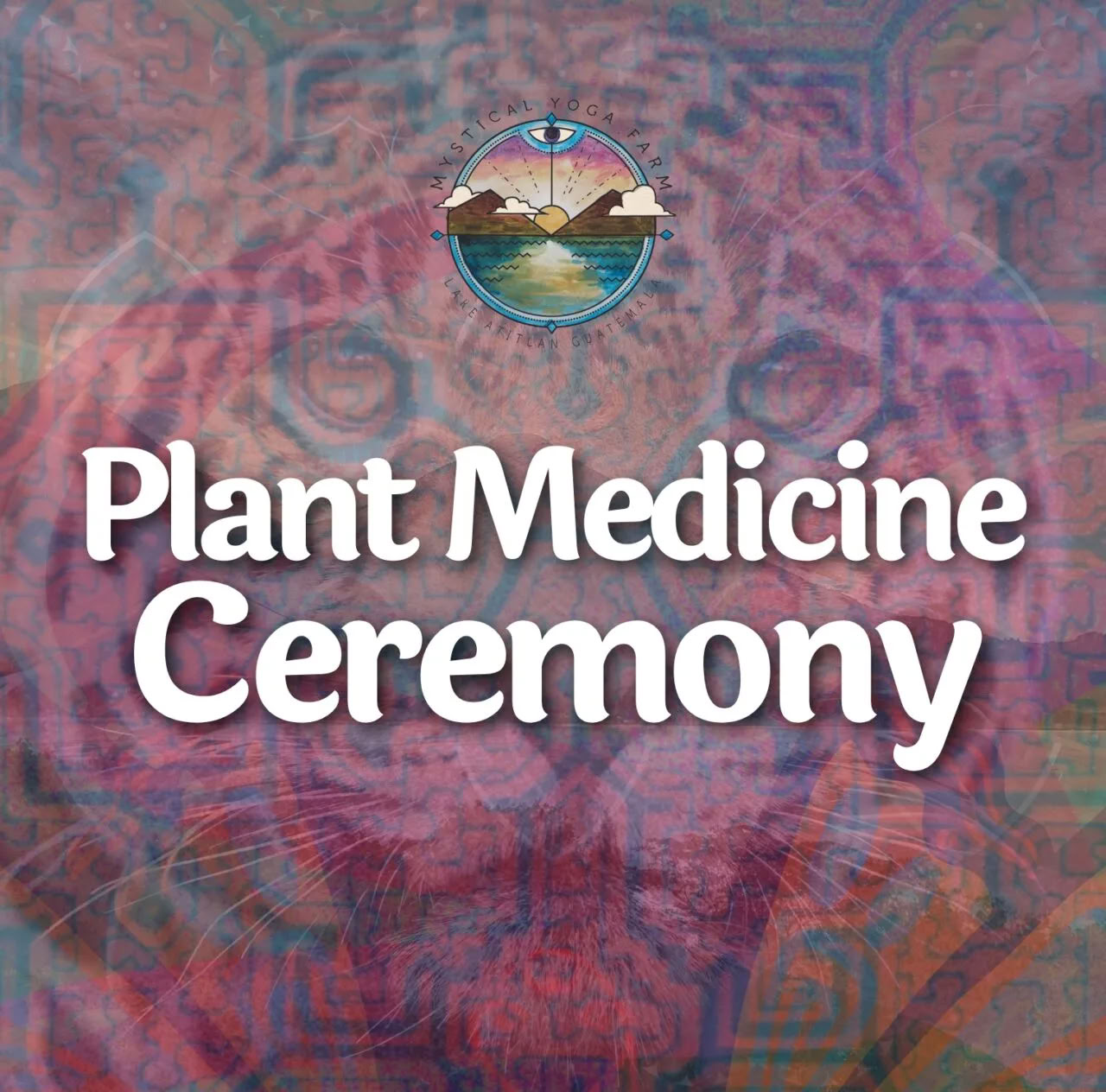 Ceremonias de Medicina de Plantas