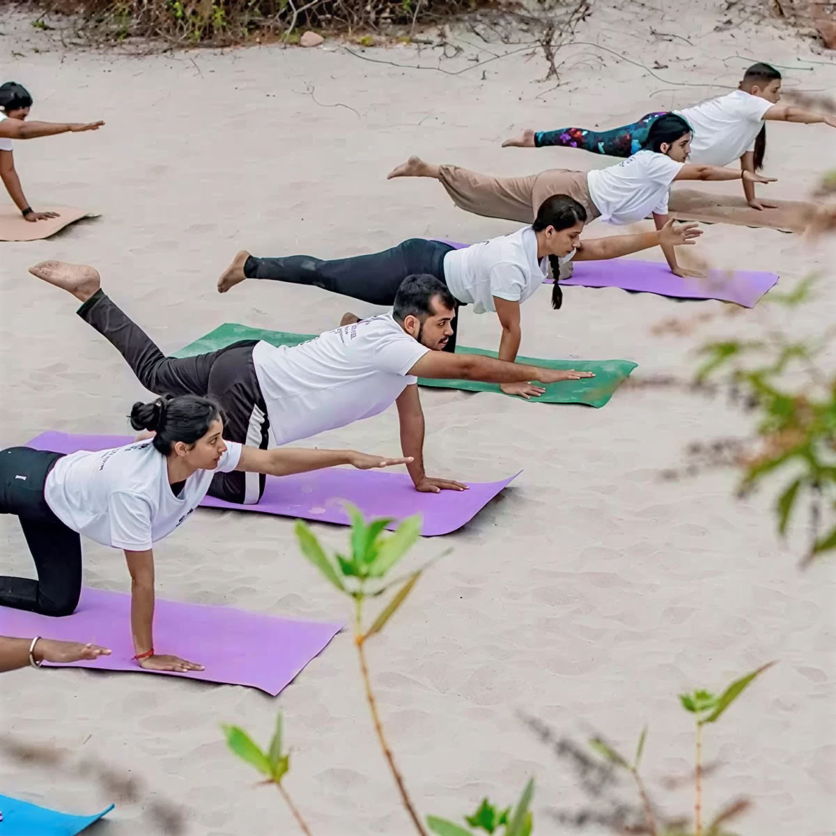 Programa de formación de profesores de yoga de 300 horas