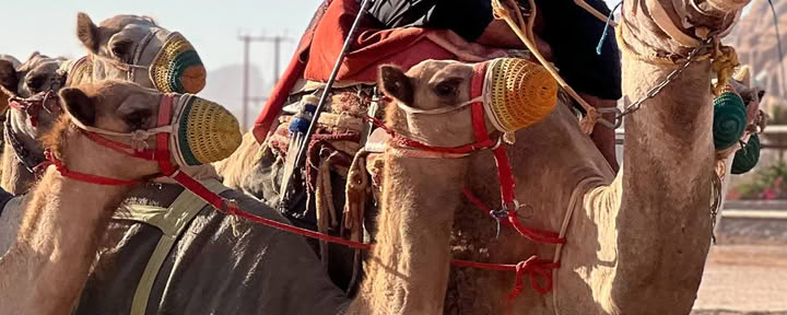 Aventura en el desierto en Wadi Rum, Jordania