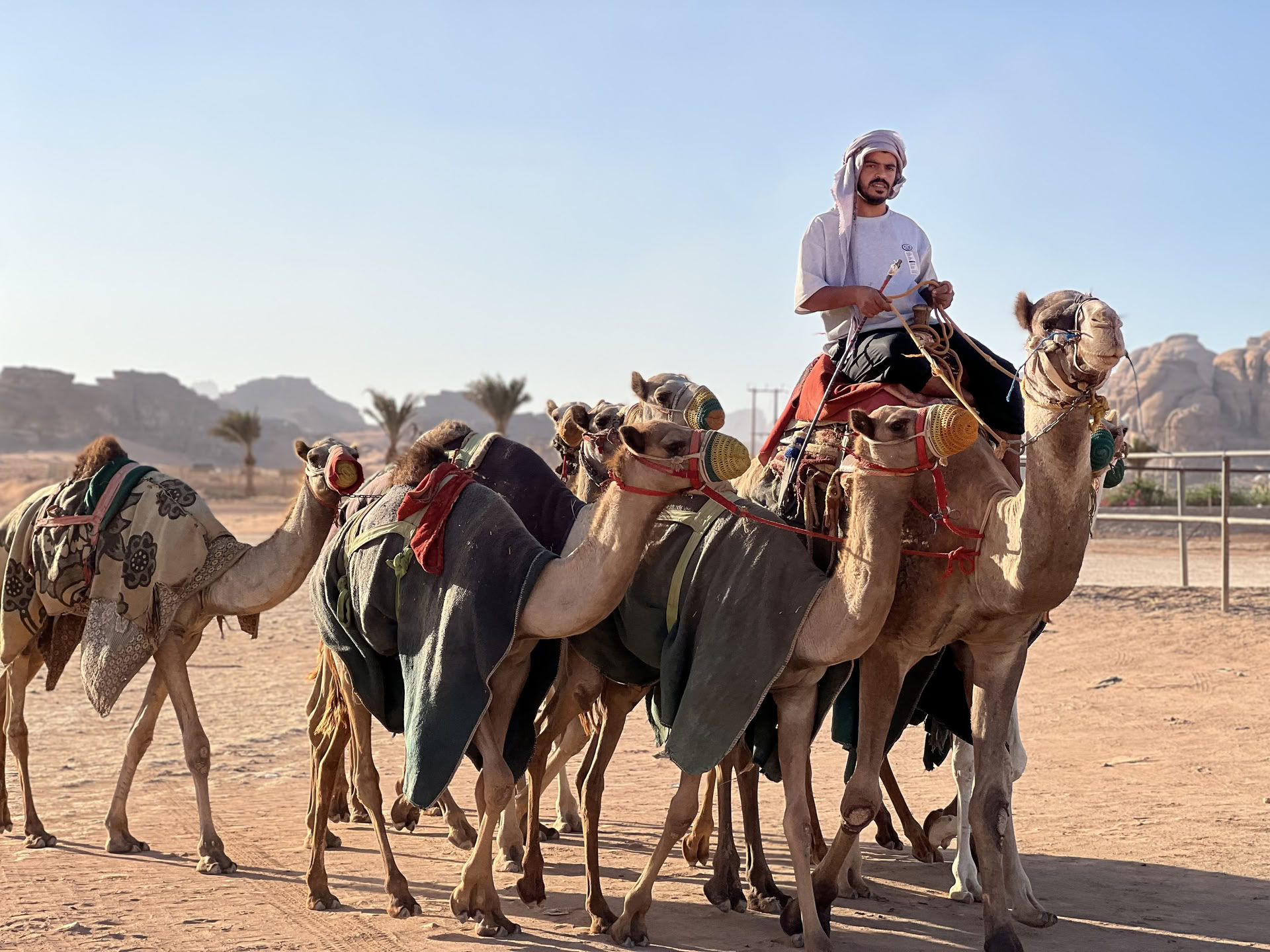 4 Días de Aventura en Camello con Beduinos en Wadi Rum, Jordania