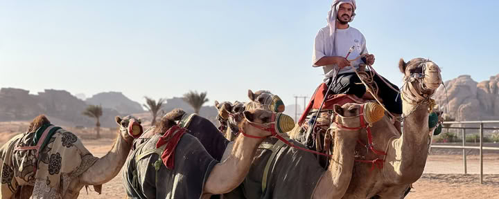 4 Días de Aventura en Camello con Beduinos en Wadi Rum, Jordania