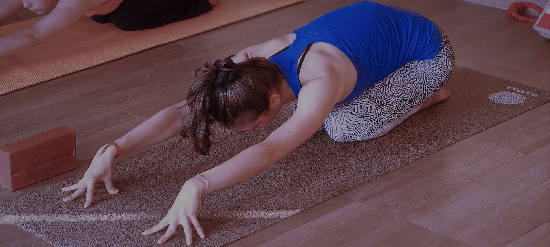 Formación de Profesores de Yoga Tradicional de 300 horas