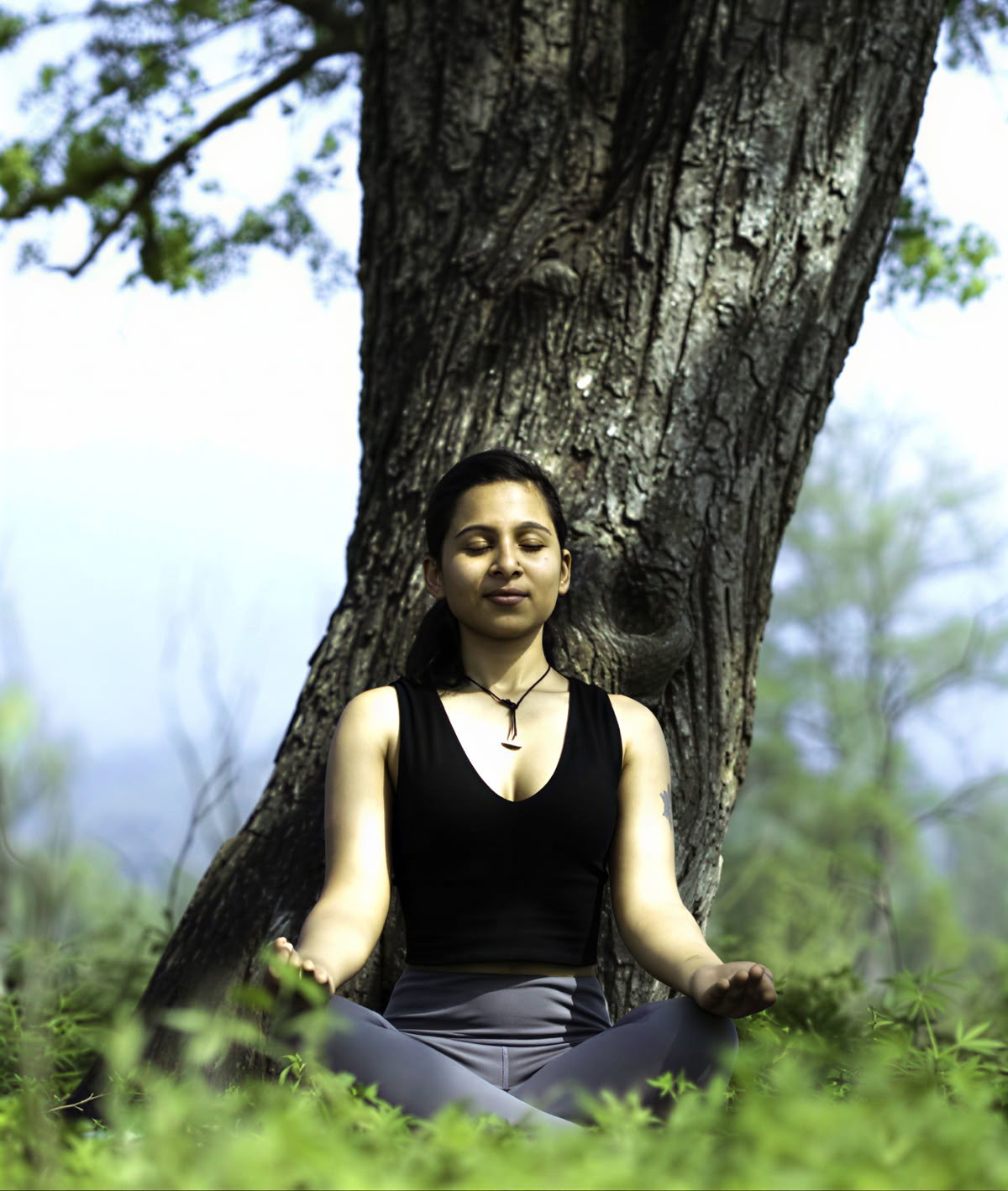 Formación de Profesores de Yoga Tradicional de 300 horas