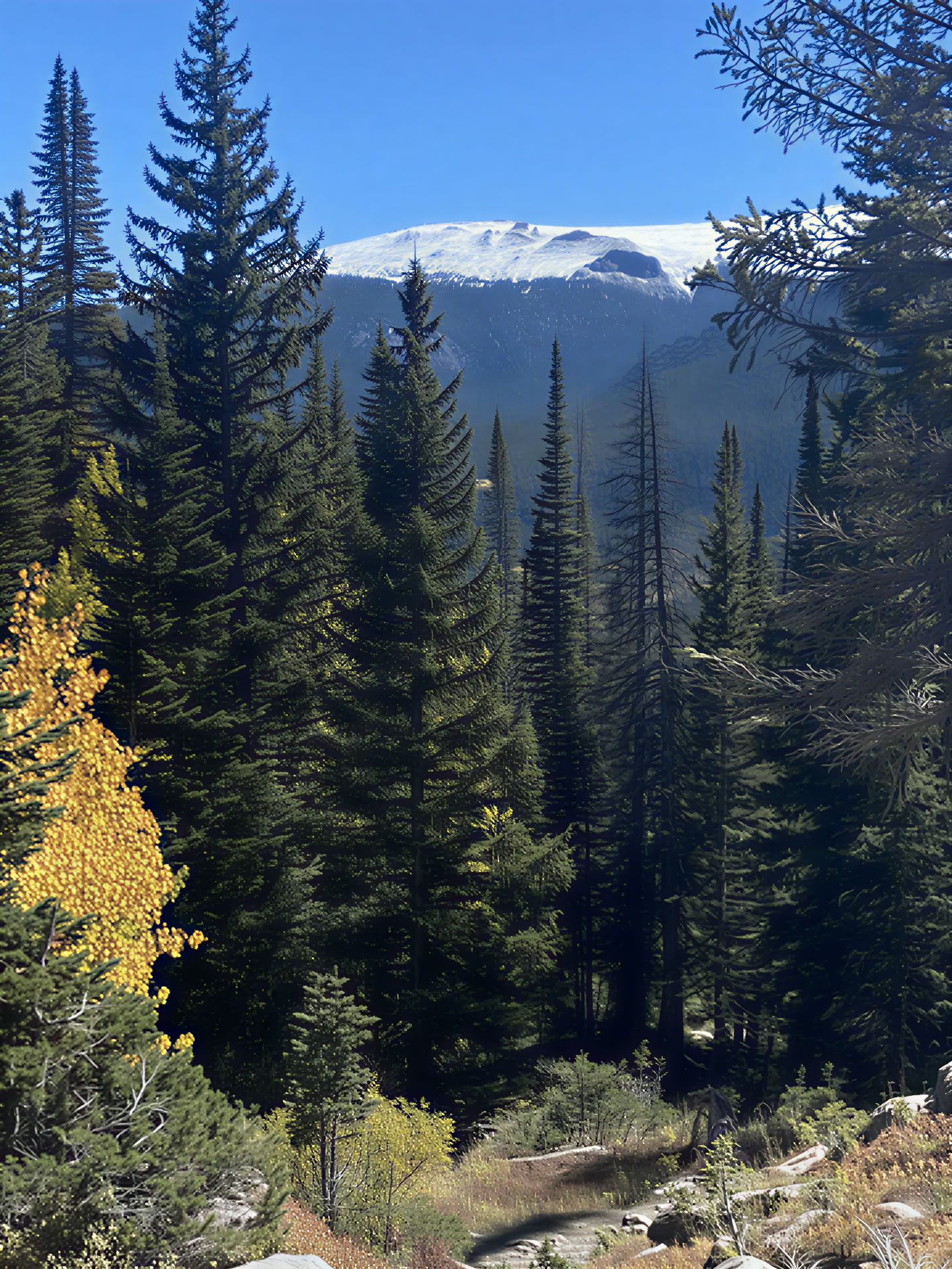 Rocky Mountain Retiro - 5 Day