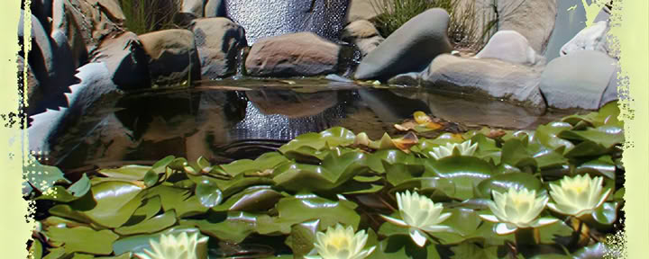 Yoga y el arte de la cocina consciente