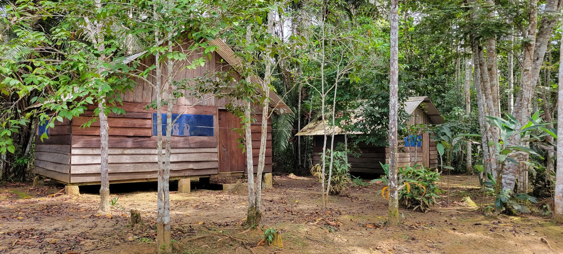 Ayahuasca Retiro Iquitos