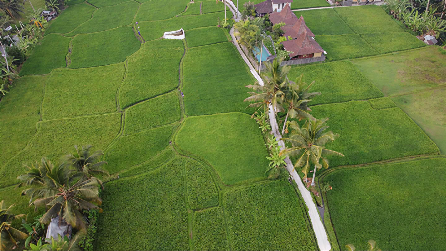 Tu semana en un retiro de yoga en Bali