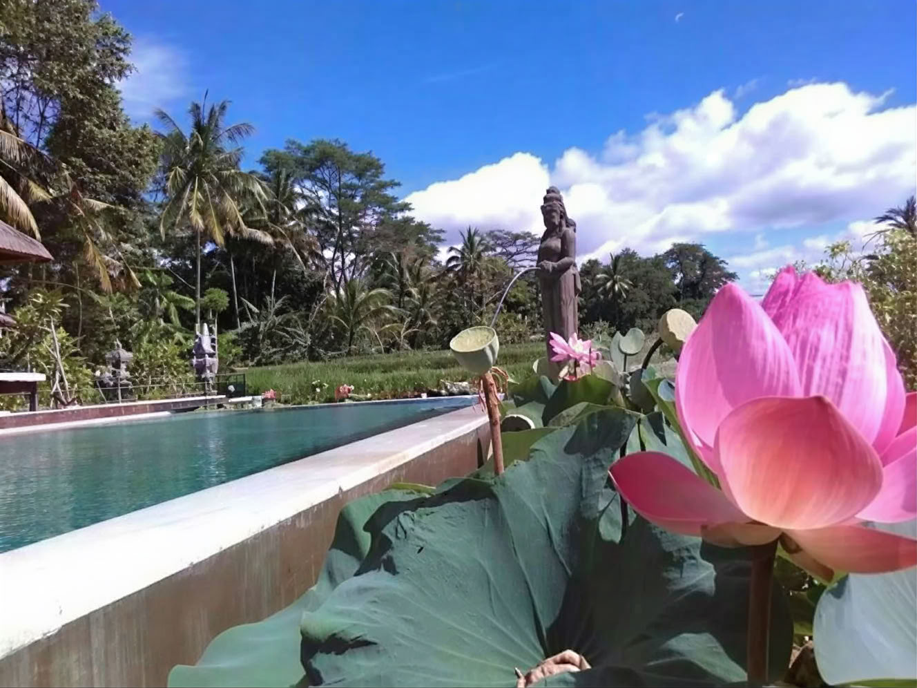 Tu semana en un retiro de yoga en Bali