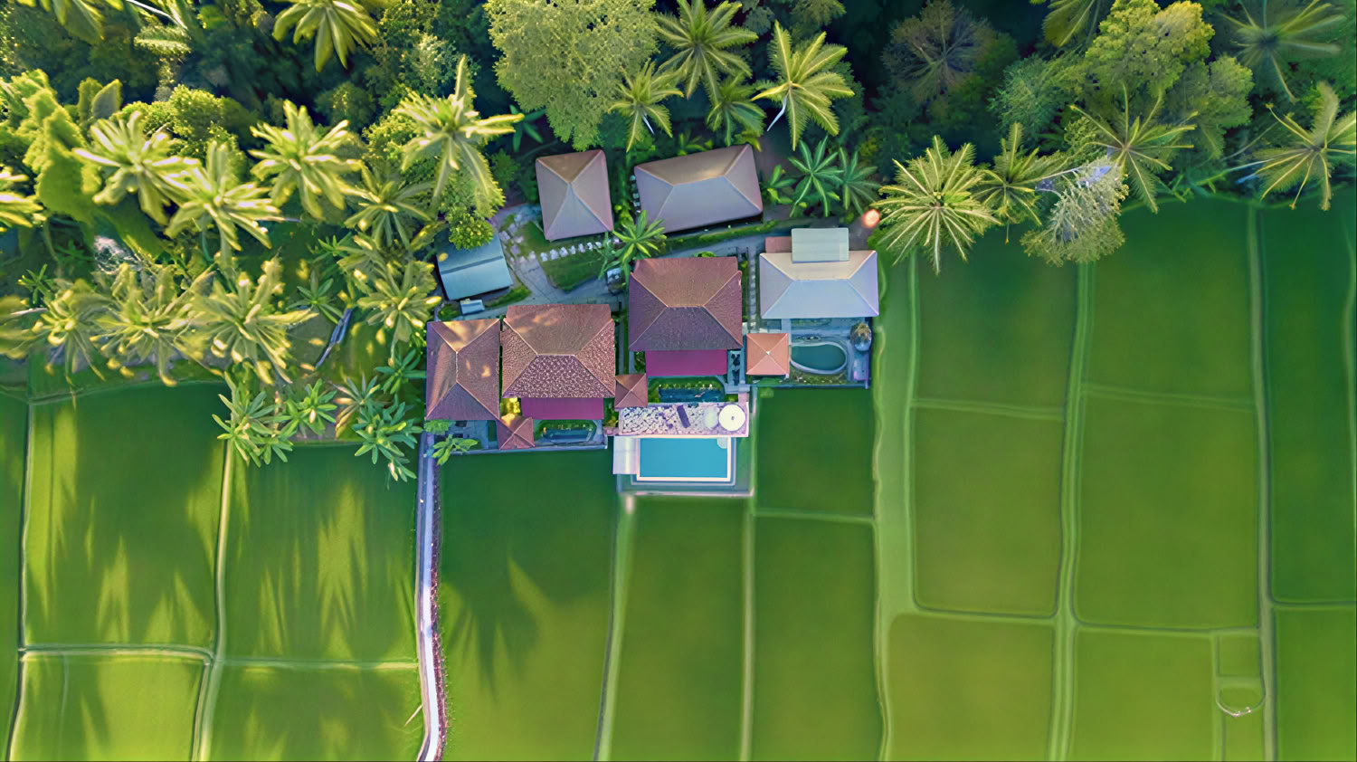 Retiro de Yoga Inolvidable de 7 Días en Firefly Retreat Bali