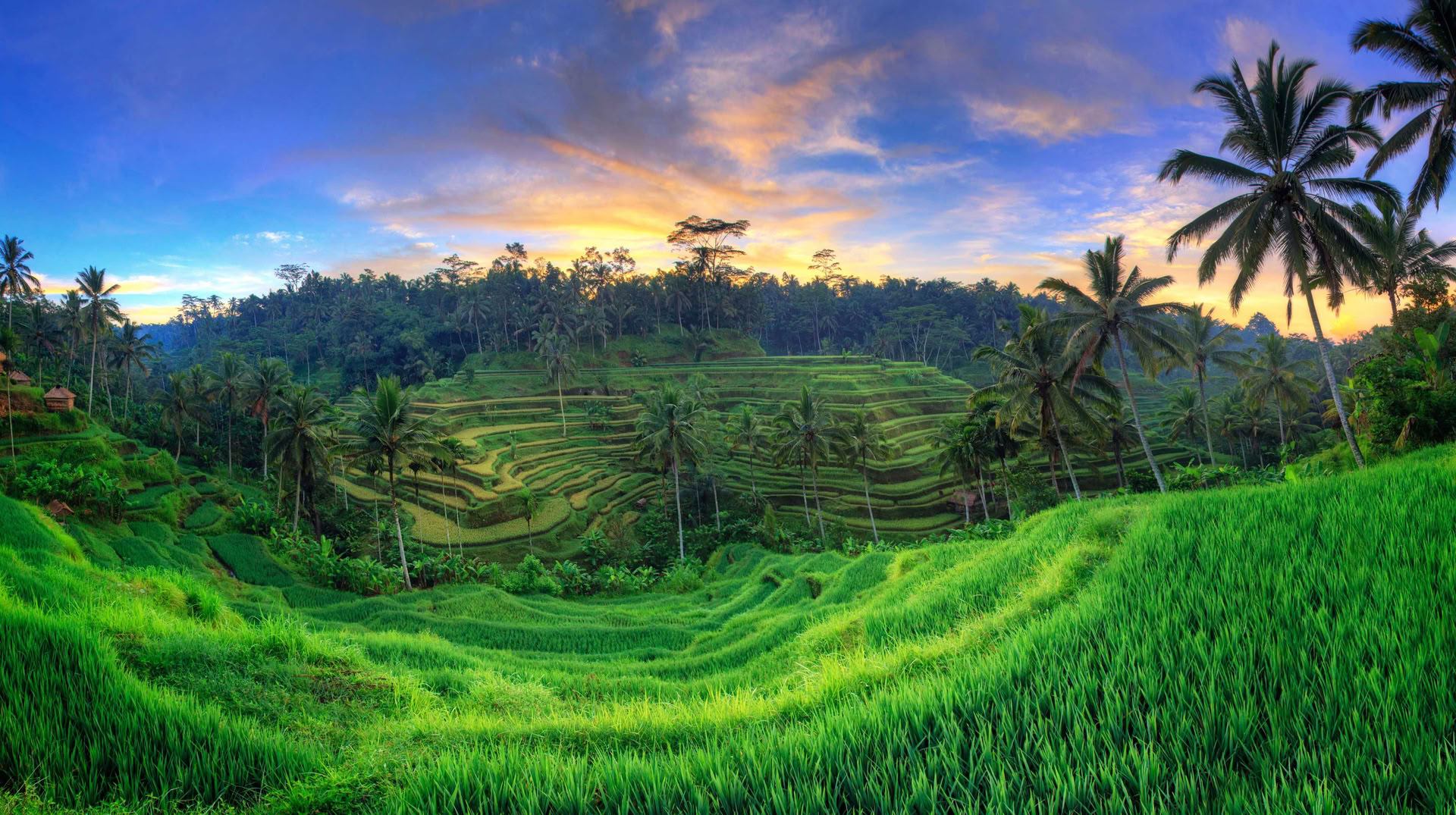 Retiro de Yoga Inolvidable de 7 Días en Firefly Retreat Bali