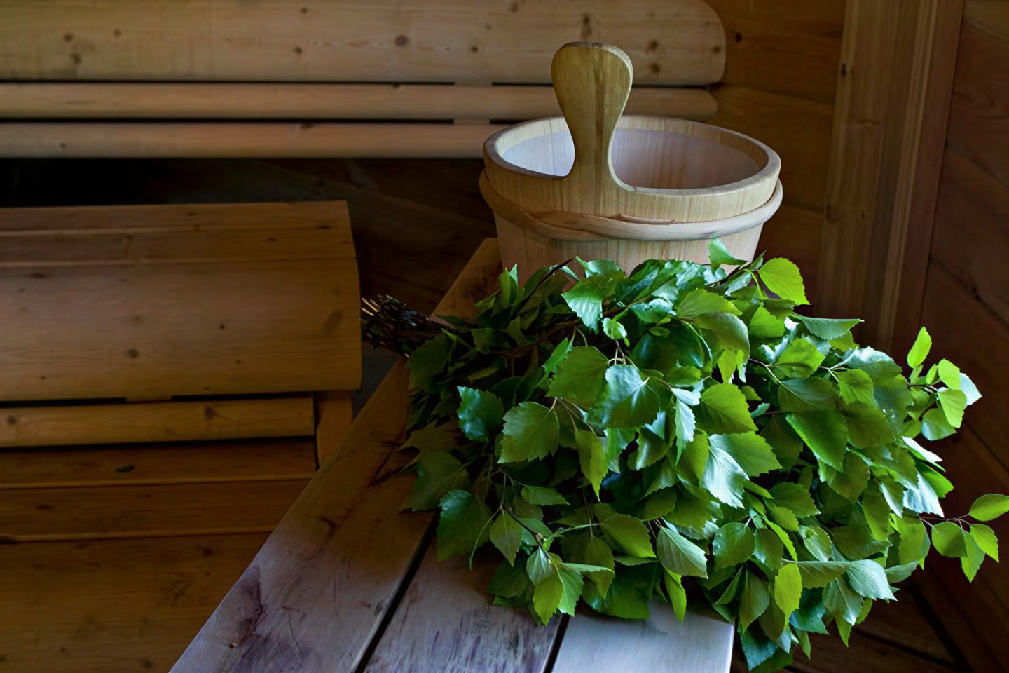 Alquiler de sauna (sin programa)
