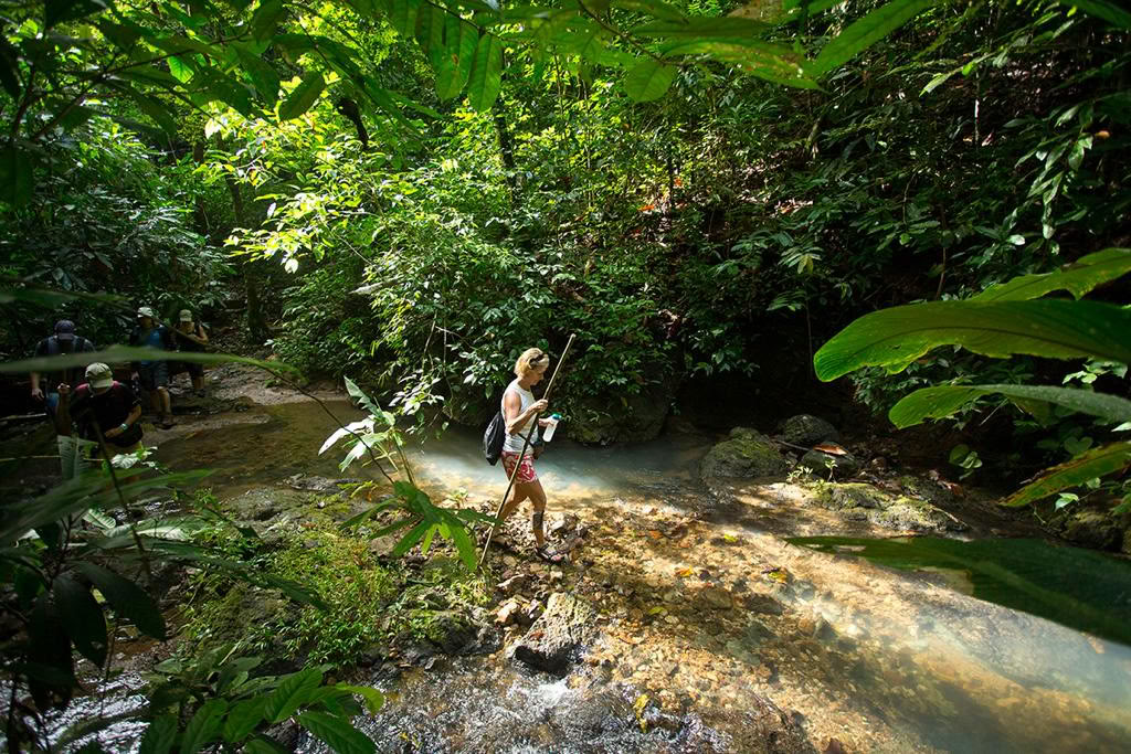 Retiro de Yoga en la Montaña