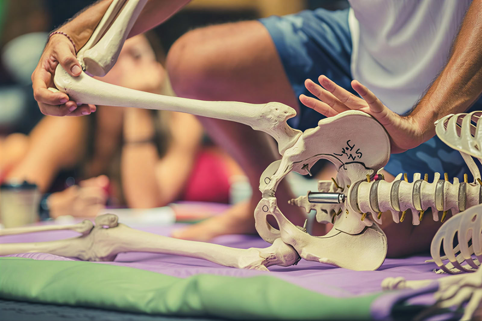 Fascia Universe 125hr Entrenamiento Avanzado de Yoga y Somática