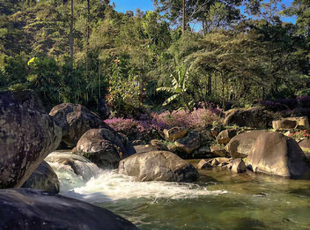 Host Your Retreat