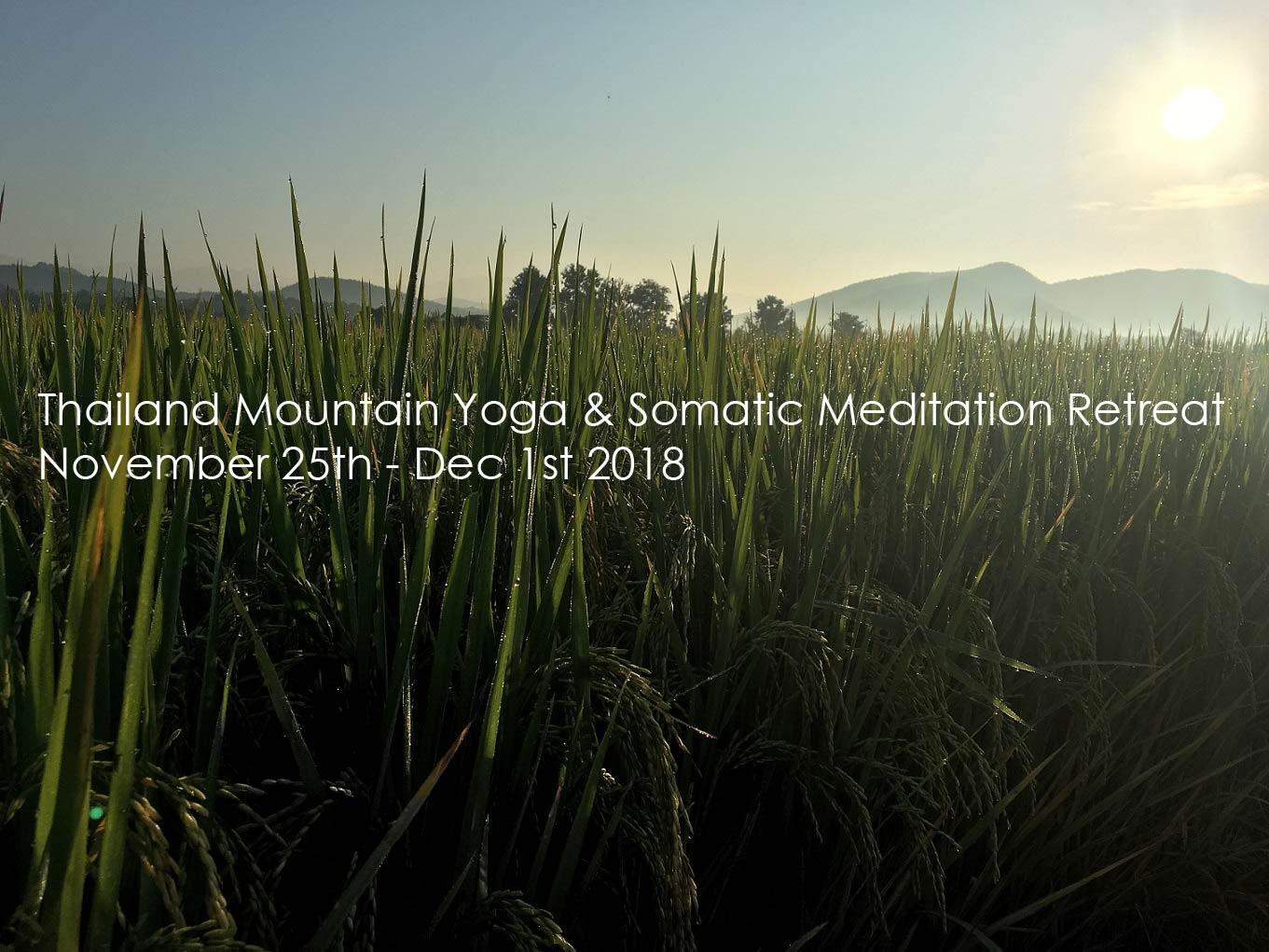 Retiro de Yoga de Meditación Somática Chiang Mai, Tailandia
