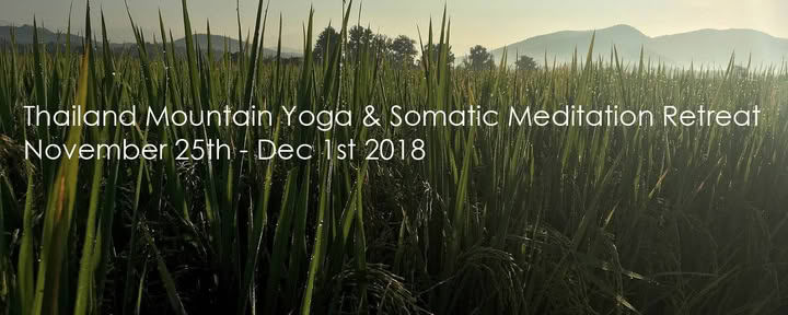 Retiro de Yoga de Meditación Somática Chiang Mai, Tailandia