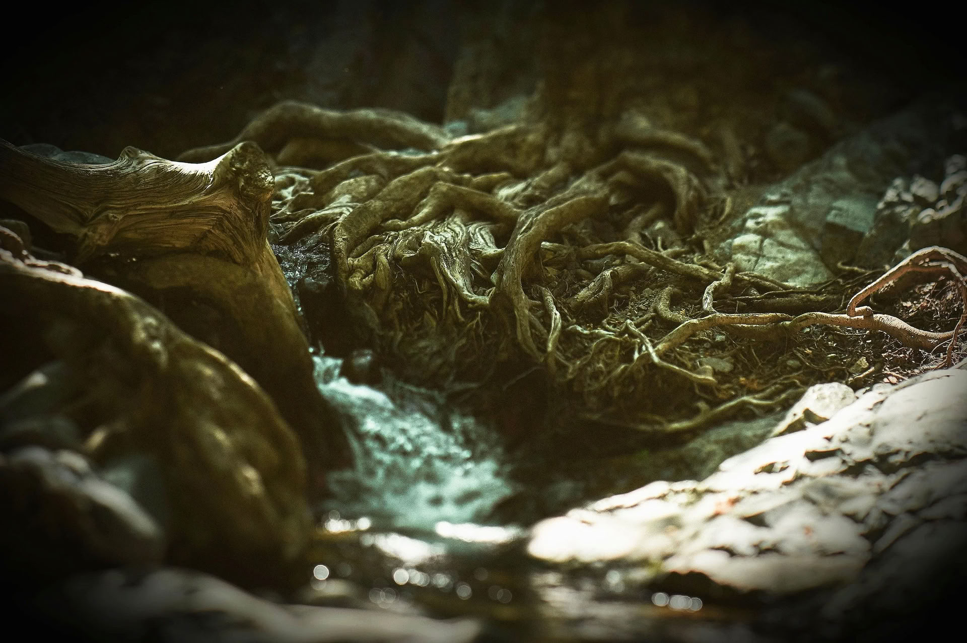 Retiros en la naturaleza