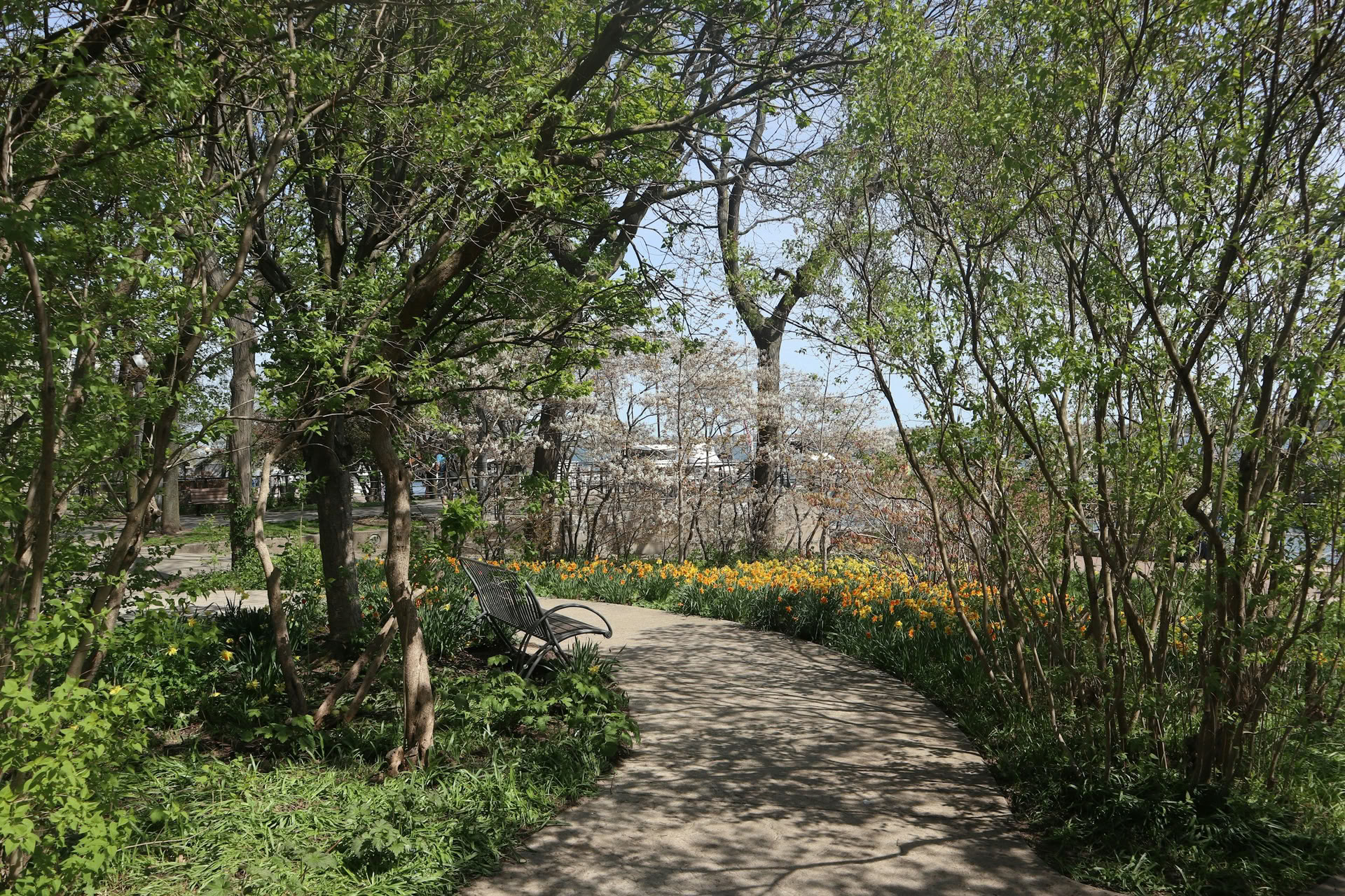 ForREST Retiro: Emerger en Flor
