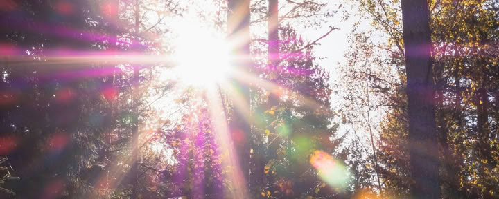 Sistertalk Retiros - LATE SUMMER GLOW: Retiro de Elemento Mineral/Naturaleza — Wild Nature Retreats