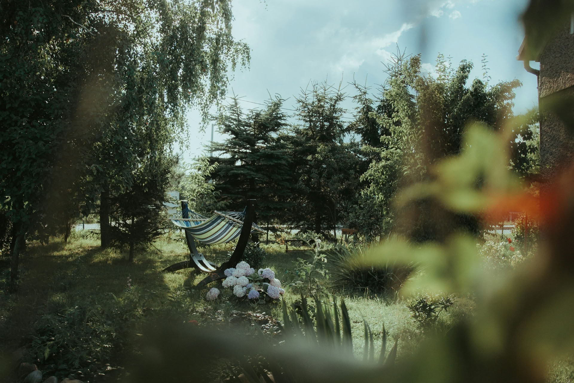 ForREST Retiro: Emerge In Bloom — Wild Nature Retreats