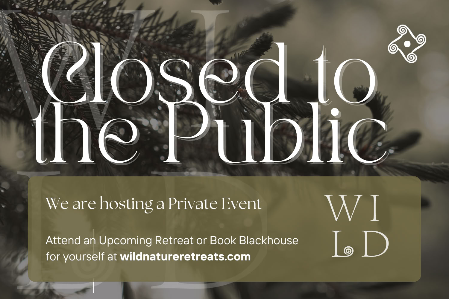 Revolutionary Dreaming: Black Futures Flourishing with Black-Centric Thought Leaders in BlackSpace — Retiros en la Naturaleza Salvaje