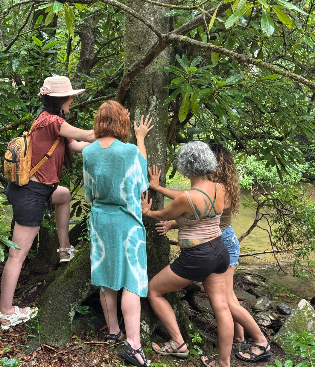 2026 RETIRO DE REWILDING PARA MUJERES