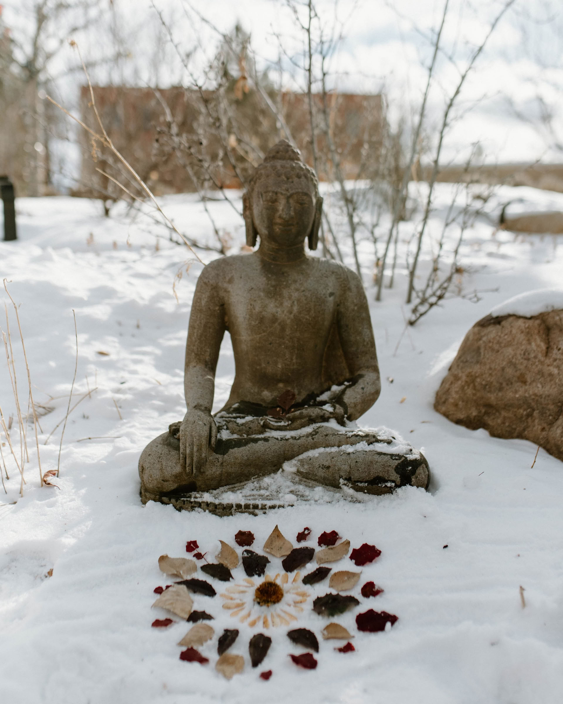 Concentric Recovery Reuniones Mensuales | True Nature - Carbondale, CO