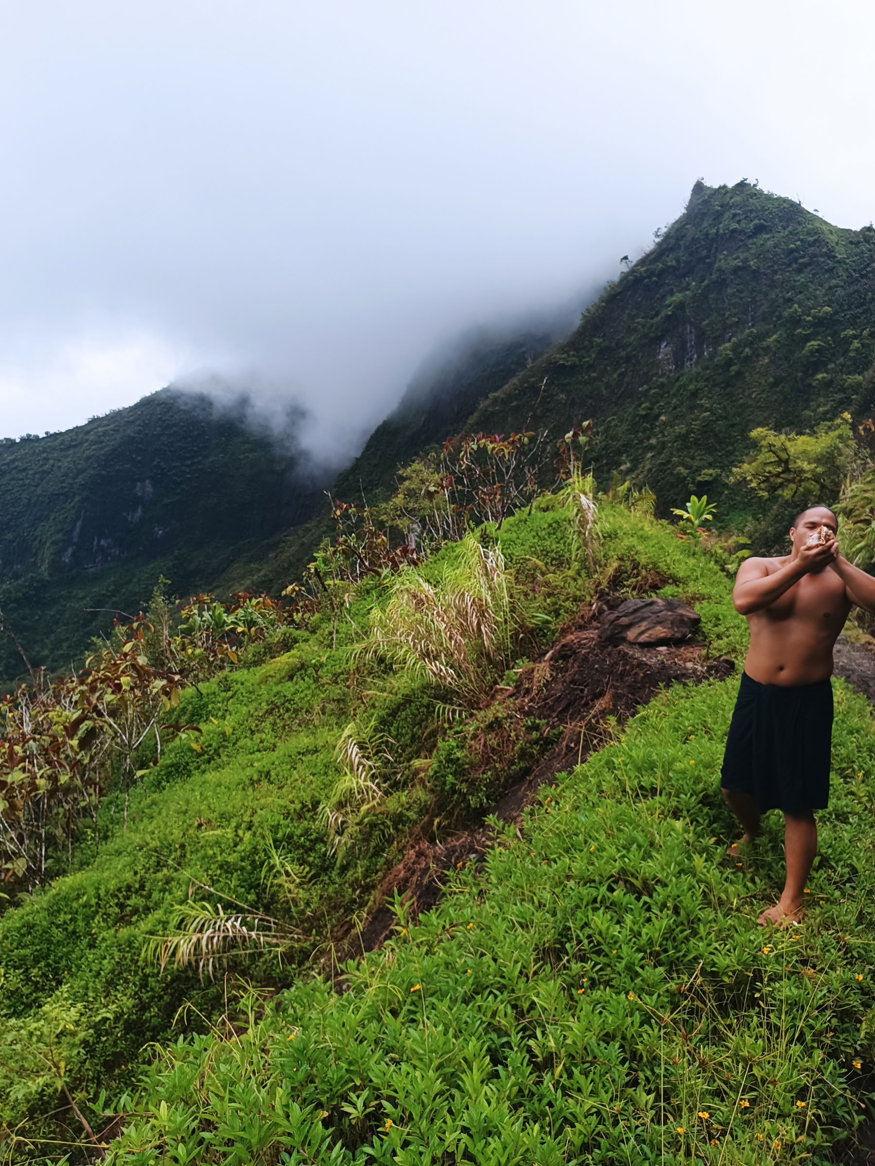 Tour Safari Te Mana Nui