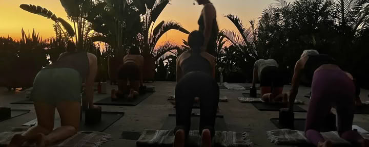 The Reset Retiro: An Opportunity to Anchor & Exhale with Carolyn Anne Budgell — la joya