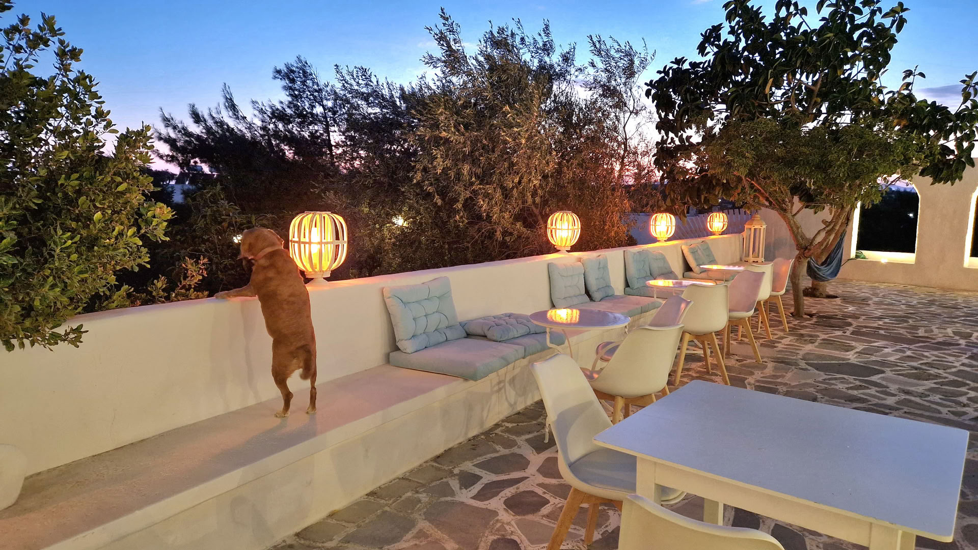 Saha Retiro con Sammy & Anna Nautall