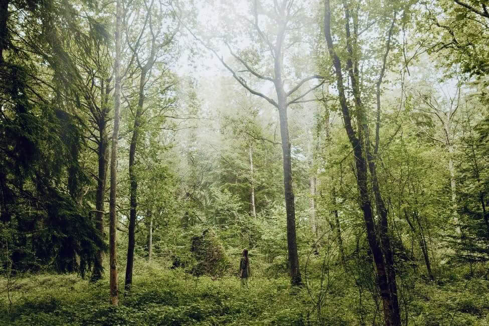 The Reset Retreat