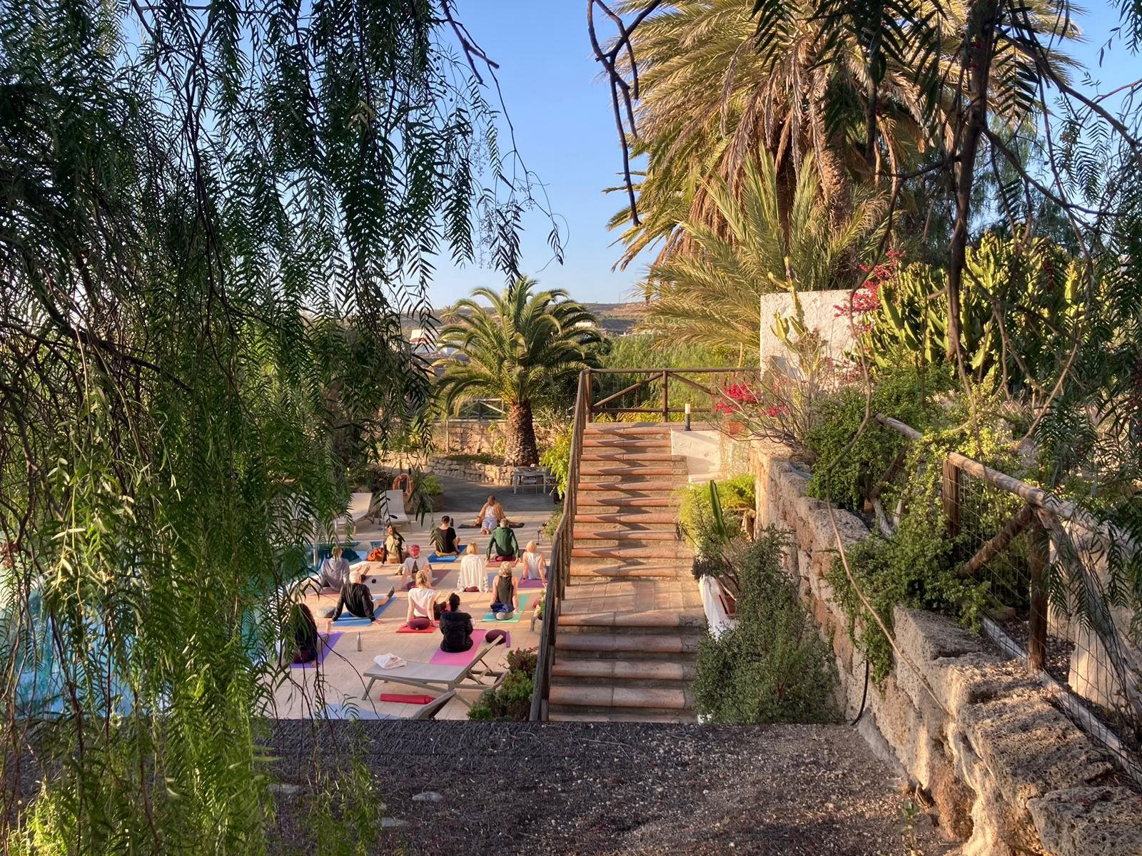8 días de mindfulness y yoga en retiro en Tenerife