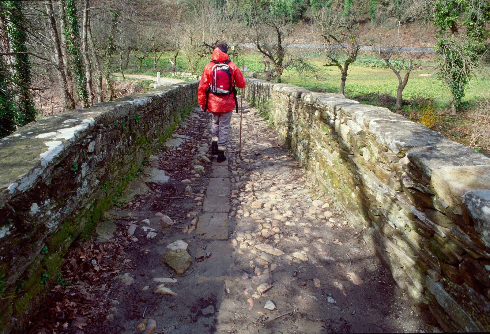 Camino Retreat 2026