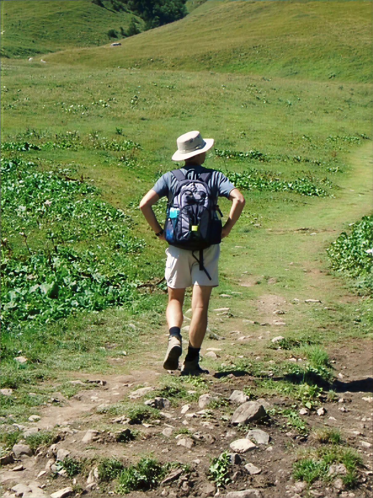 Walking for Wellbeing Retiro