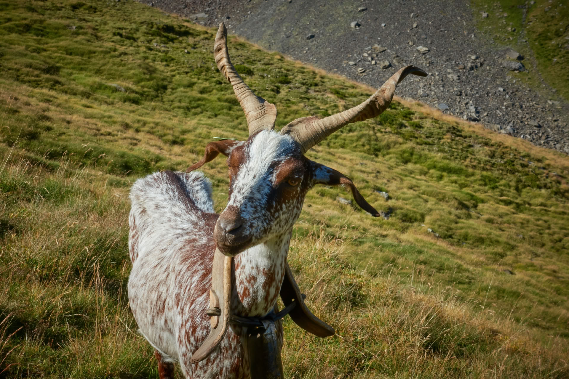 Haciendo las cosas a mi manera