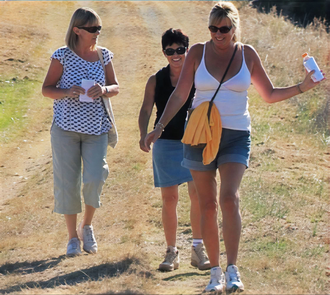Healthy Heart Reset: Un camino hacia el bienestar