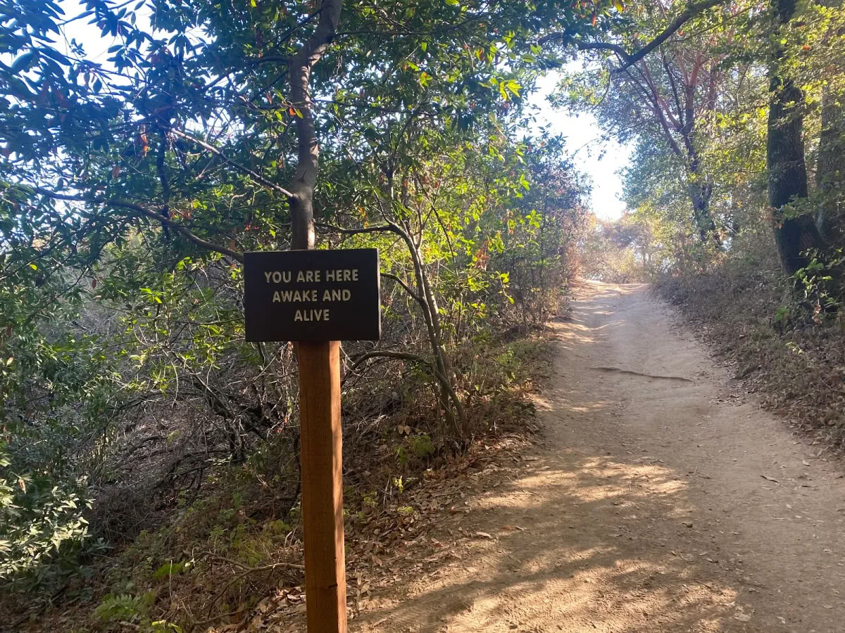 Healthy Heart Reset: Un camino hacia el bienestar