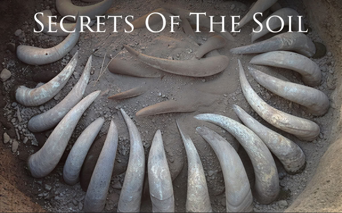 Secretos del Suelo