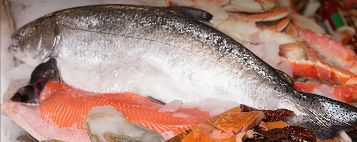 Guía del pescadero