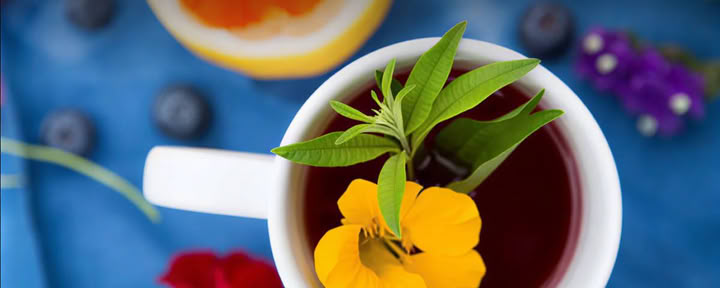 El Arte del Jugo