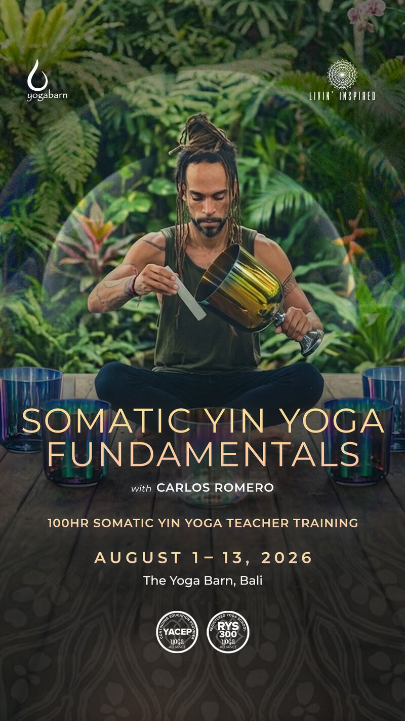 Fundamentos de Yin Yoga Somático 100 Hr YTT
