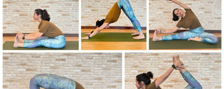 Yoga Therapy para la fuerza pélvica y del core