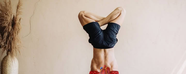 Yoga Therapy para la Salud Respiratoria (Cardio-Breath Fusion)